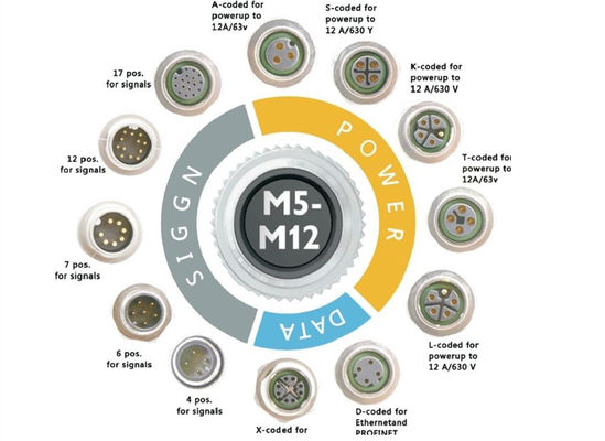 M12 시리즈 원형 와이어 커넥터 소켓 12 핀 후면 나사 패널 장착